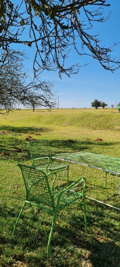 Green Thumb Farm Stay Ermelo Exterior photo